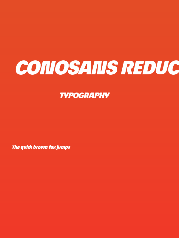 ÉconoSans Reduced 96 Black Italic Poster