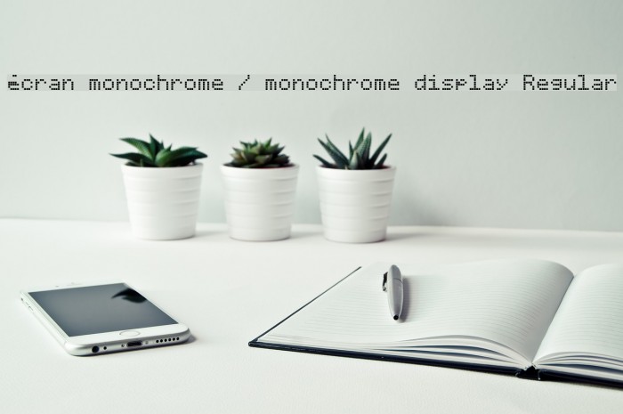 écran monochrome / monochrome display Regular Font examples