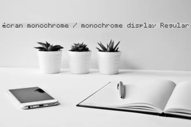 écran monochrome / monochrome display Regular Polices examples