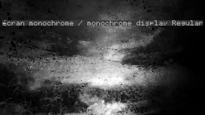 écran monochrome / monochrome display Regular Polices examples