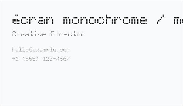 écran monochrome / monochrome display Regular Business Card