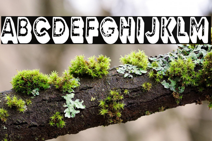 3D Grunge Studio Example 2