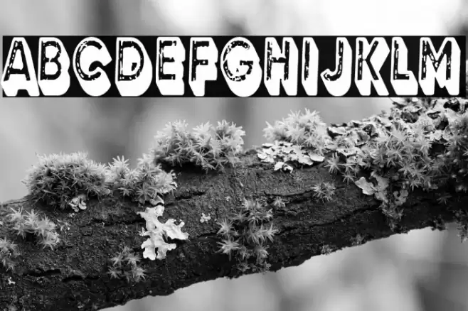 3D Grunge Studio Font examples