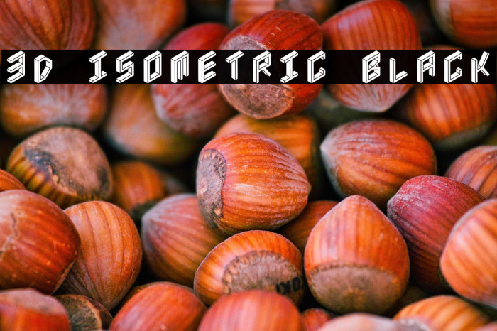 3D Isometric Black Example 1