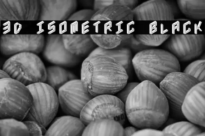 3D Isometric Black Font examples