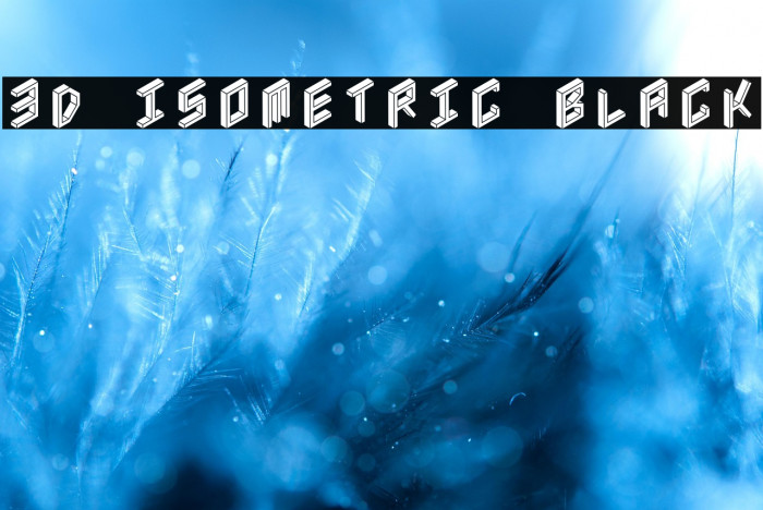 3D Isometric Black Example 2