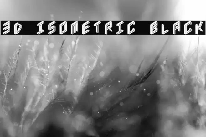 3D Isometric Black Font examples