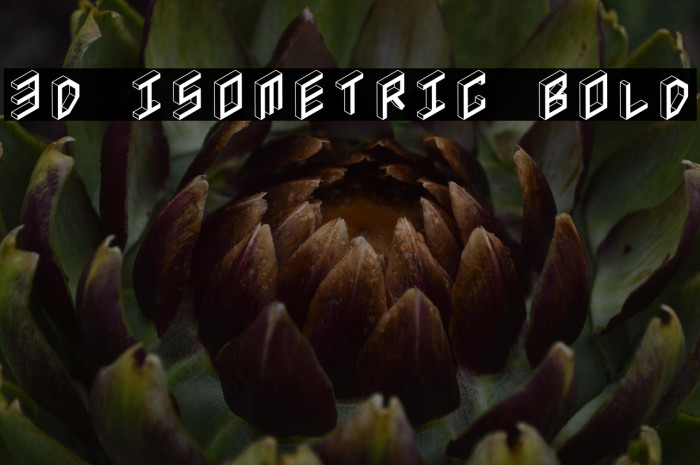 3D Isometric Bold Example 3