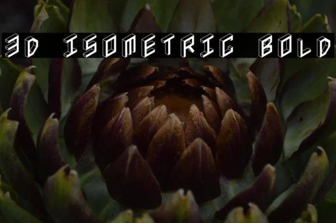 3D Isometric Bold Example 3