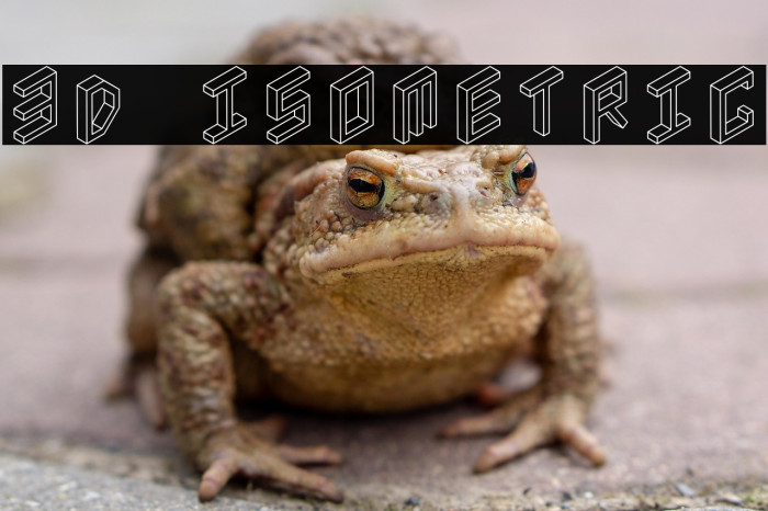 3D Isometric Example 1