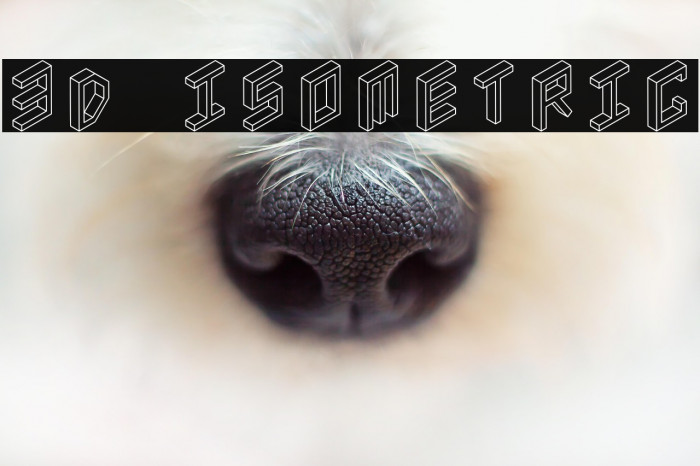 3D Isometric Example 3