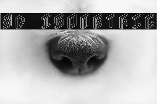 3D Isometric Font examples