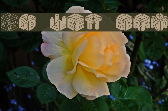 3D LET [BRK] Font examples