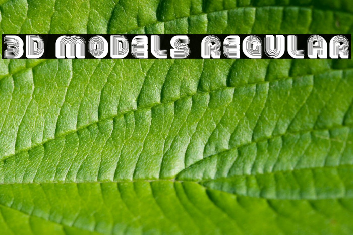 3D Models Regular Polices examples