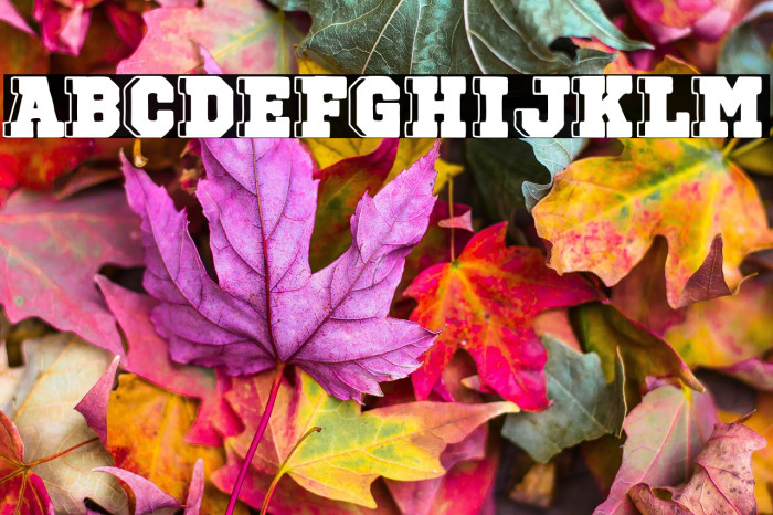 3D Sports Bar Example 2