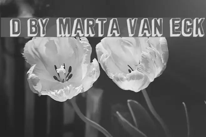 3D by Marta van Eck Font examples