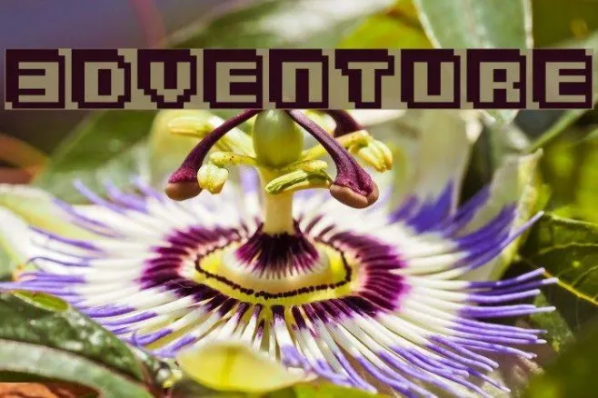 3Dventure Example 2