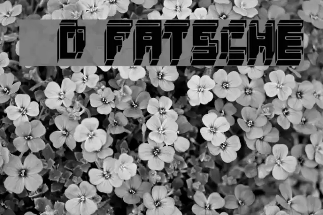 3d fatsche Font examples