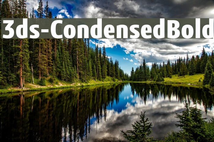 3ds-CondensedBold Example 1