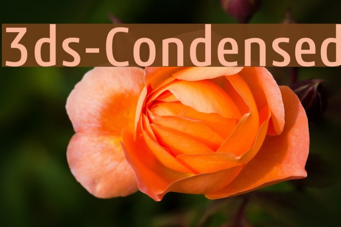 3ds-Condensed Font examples