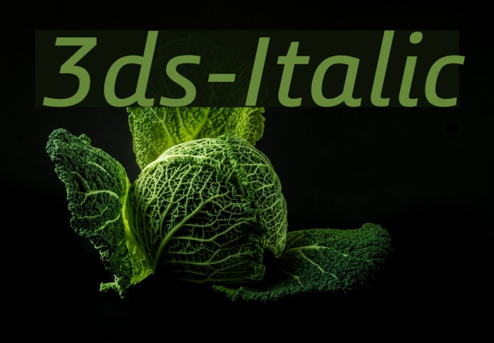 3ds-Italic Font examples