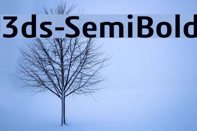 3ds-SemiBold Example 2