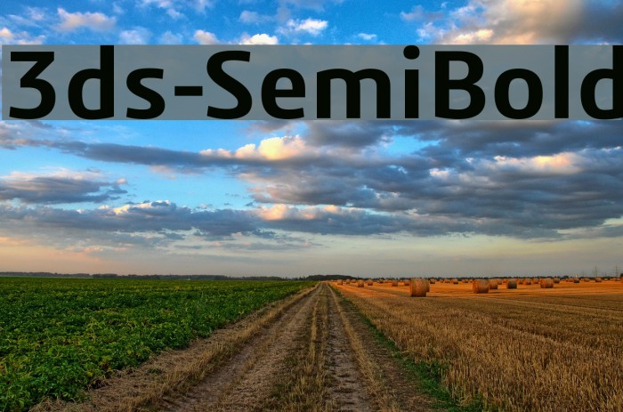 3ds-SemiBold フォント examples