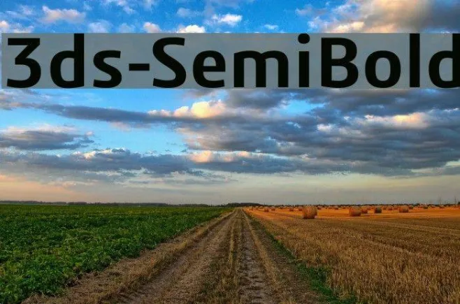 3ds-SemiBold Example 3