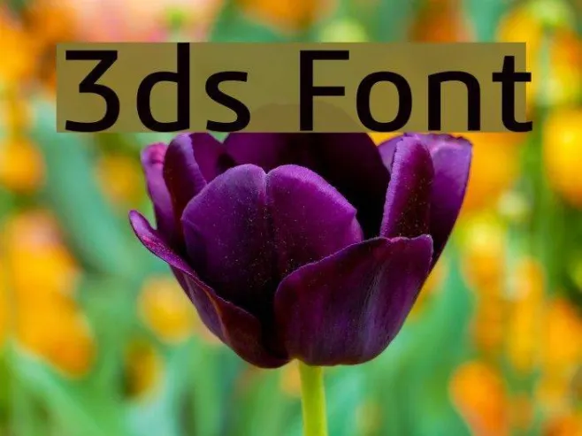 3ds Example 1