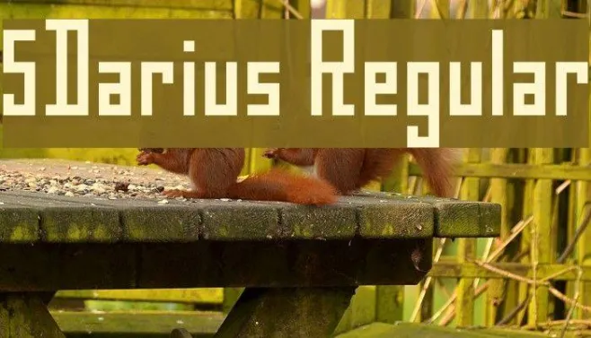 5Darius  Regular Example 2