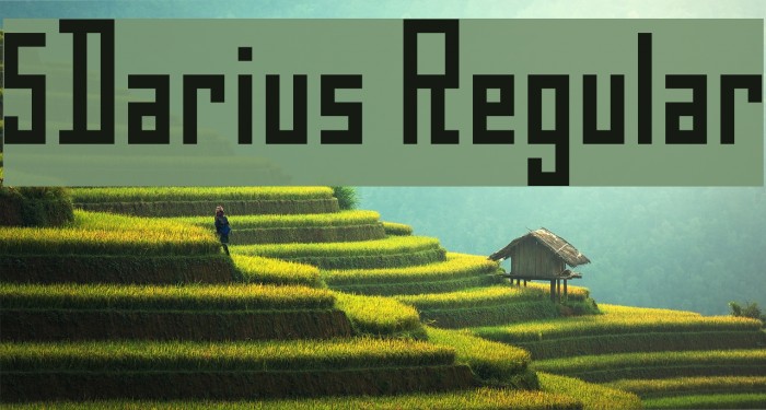 5Darius Regular Font examples