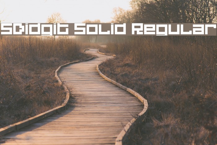 5Didgit Solid Regular Font examples