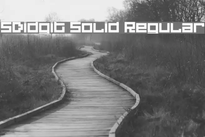 5Didgit Solid Regular Font examples