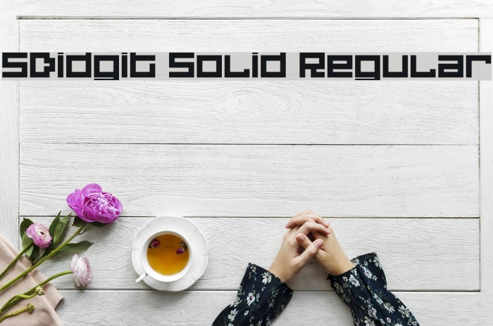 5Didgit Solid Regular Font examples