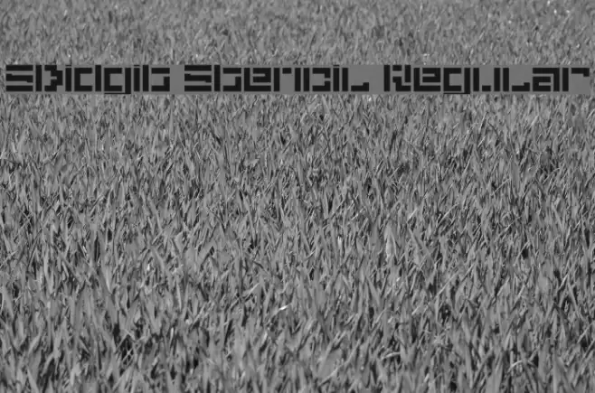 5Didgit Stencil Regular Font examples