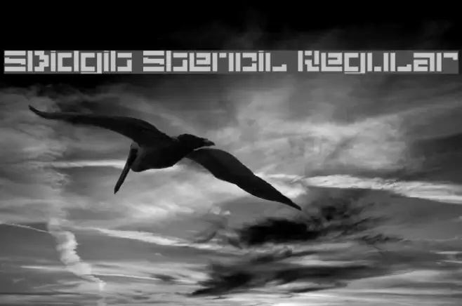 5Didgit Stencil Regular Font examples