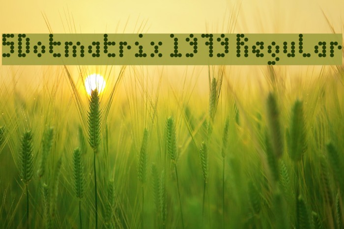 5Dotmatrix 1979 Regular Font examples