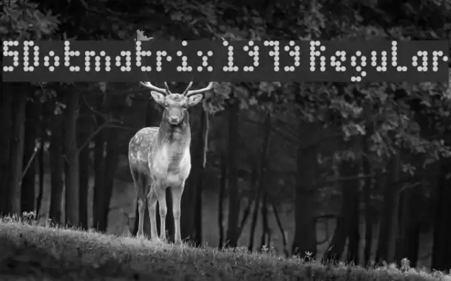 5Dotmatrix 1979 Regular Font examples