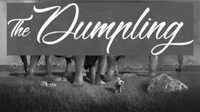 &Dumpling Font examples
