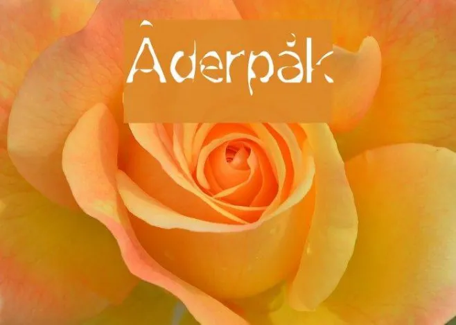 Åderpåk Example 1