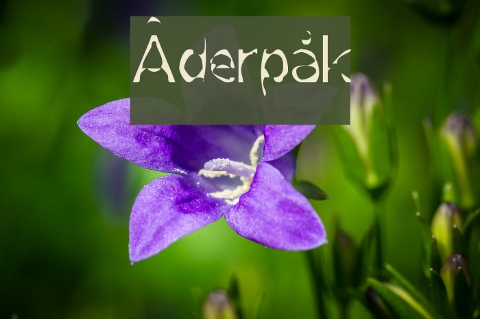 Åderpåk Font examples