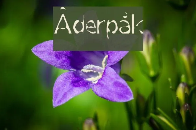 Åderpåk Example 3