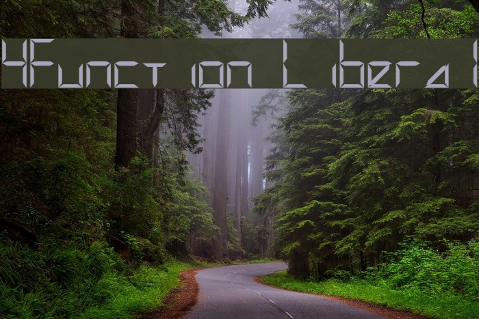 4Function Liberal Font examples