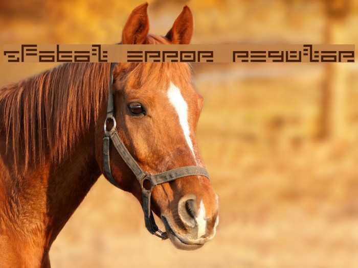 5Fatal Error Regular Font examples