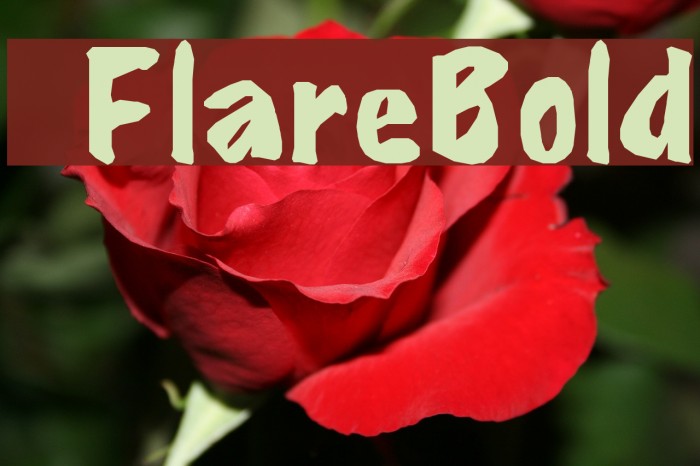 ©FlareBold Font examples