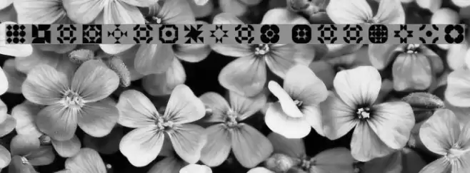 5Geomedings Regular Font examples