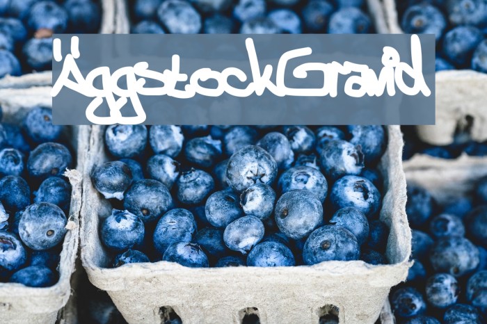 ÄggstockGravid Font examples