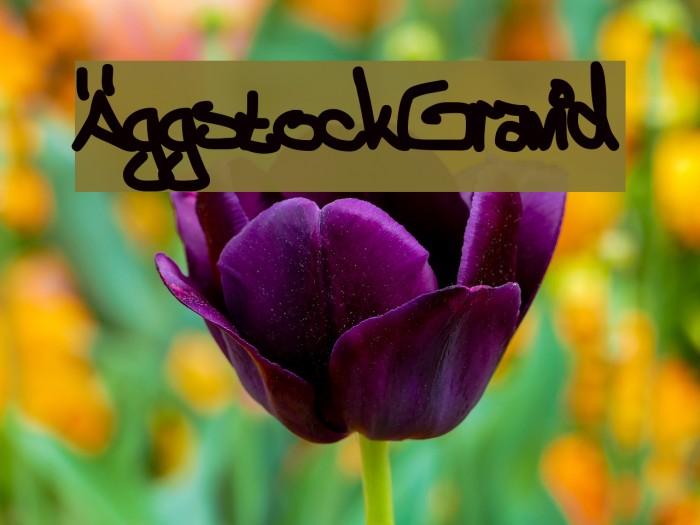 ÄggstockGravid Font examples