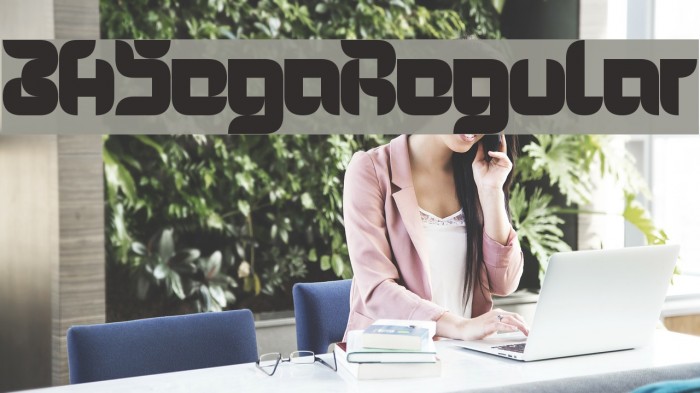 3HSegaRegular Font examples