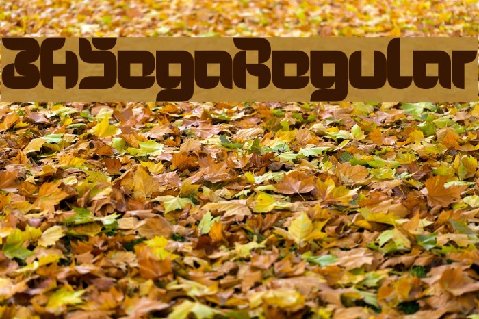 3HSegaRegular Font examples
